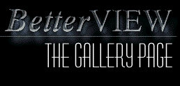 BV Gallery Logo (R)